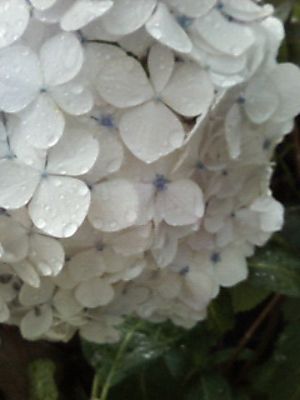 201006181739000_2