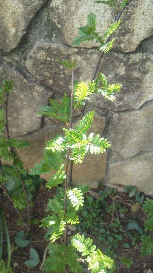 2011040514020001