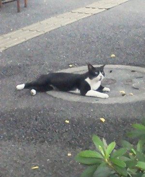 2012082418100000