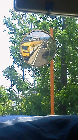 Photo_3