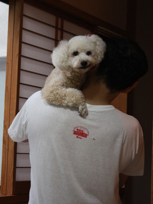 Img_1258 Img_1258