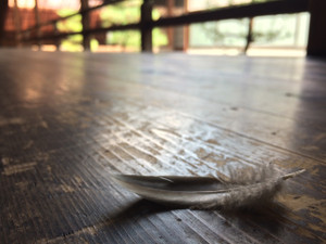 Photo_2